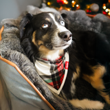 Babero para perro Tartan Dreams Pet Bandana