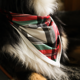 Babero para perro Tartan Dreams Pet Bandana