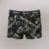 Boxer da uomo Zebra