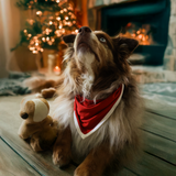Bavaglino per cani Red Heritage Pet Bandana