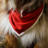Bavaglino per cani Red Heritage Pet Bandana