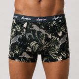 Boxer da uomo Zebra