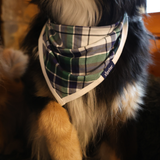 Hundelätzchen Grün Tartan Haustier Bandana