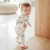 ZIPSTER™ Amsterdam