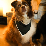 Bavaglino per cani Bandana verde per animali domestici